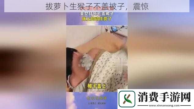 拔萝卜生猴子不盖被子
