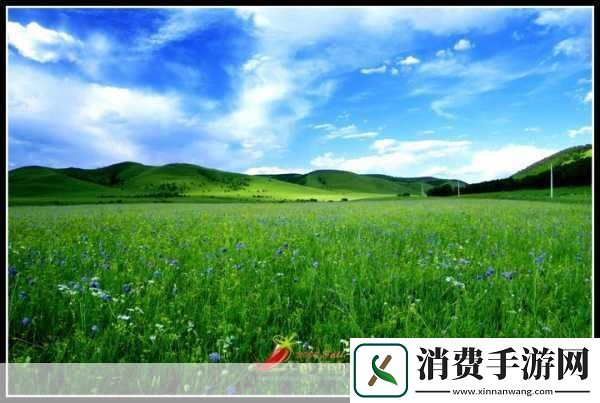 青青草原国产：你觉得青青草原上的风景如何