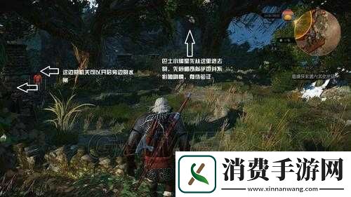 巫师3狂猎弗蕾雅神花园怎么走