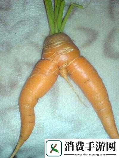 女孩子爱吃男生的胡萝卜这是什么奇妙组合