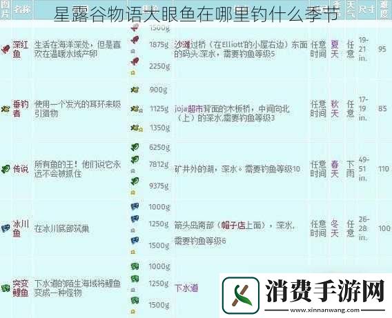 星露谷物语大眼鱼在哪里钓什么季节