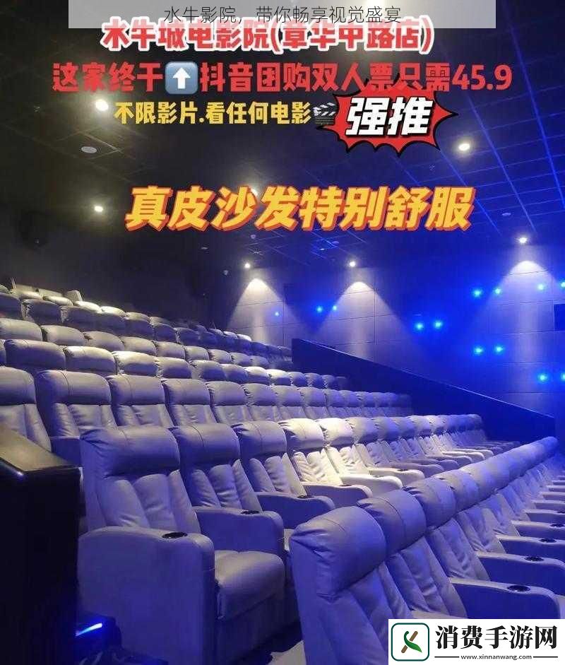 水牛影院-带你畅享视觉盛宴