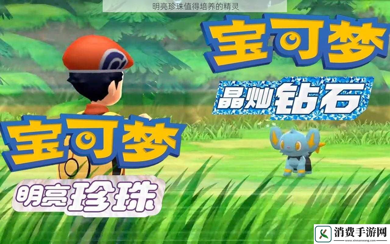 明亮珍珠值得培养的精灵