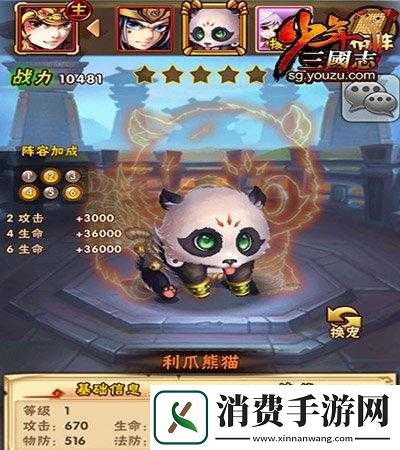 少年三国志宠物熊猫伤害机制剖析
