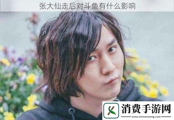 张大仙走后对斗鱼有什么影响