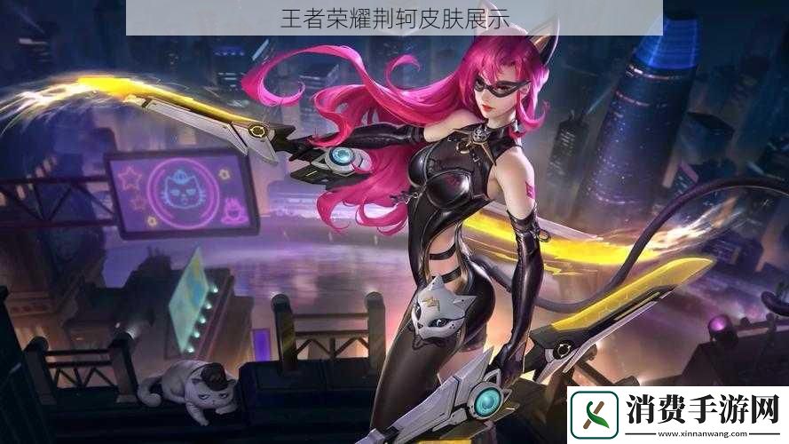 王者荣耀荆轲皮肤展示