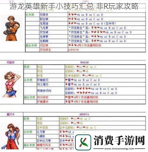 游龙英雄新手小技巧汇总非R玩家攻略