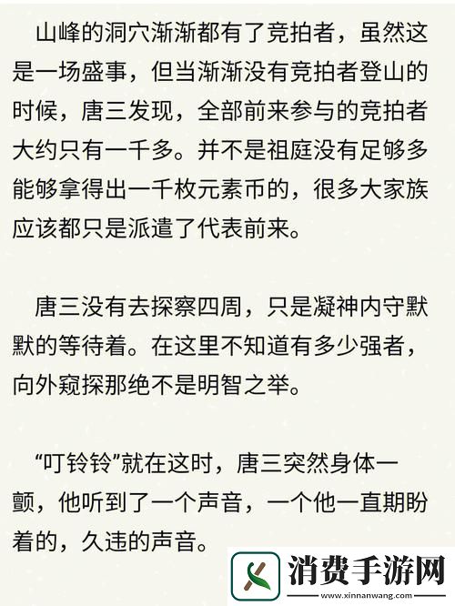 唐三桶比比东不亦乐乎MBA