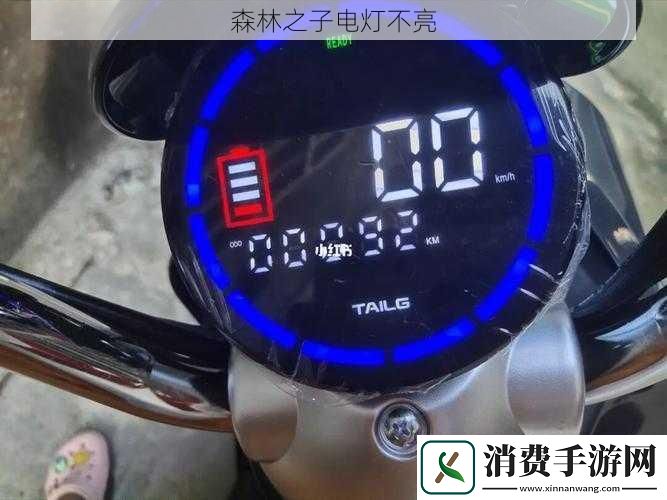 森林之子电灯不亮