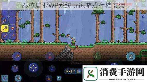 泰拉瑞亚WP系统玩家游戏存档安装