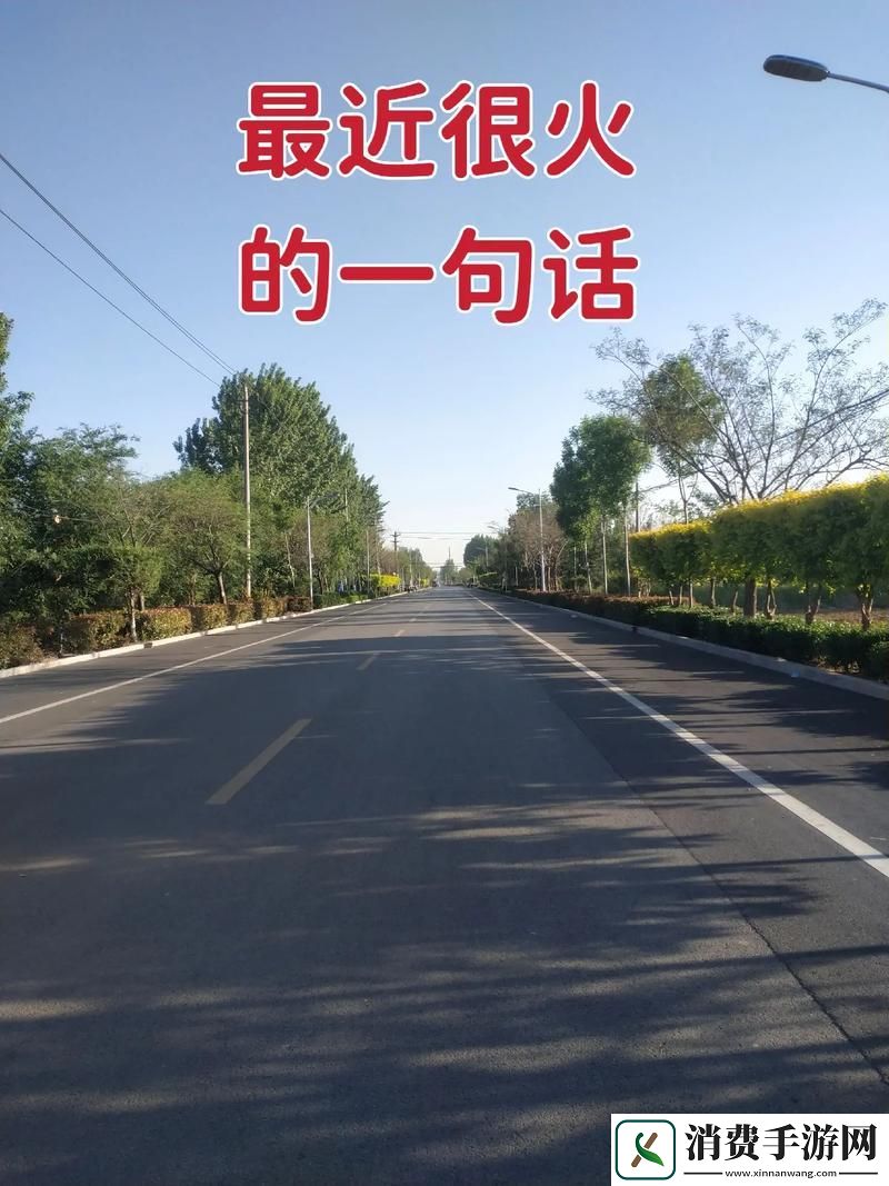 “老八灰”传奇