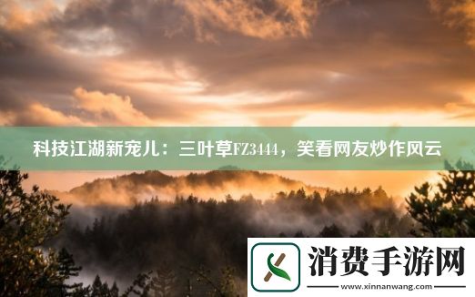 科技江湖新宠儿