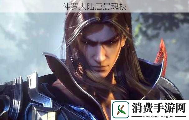 斗罗大陆唐晨魂技