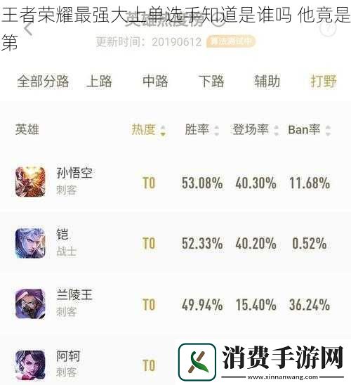 王者荣耀最强大上单选手知道是谁吗