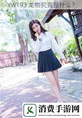 YW193龙物究竟是什么