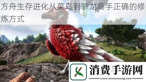 方舟生存进化从菜鸟到驯龙高手正确的修炼方式