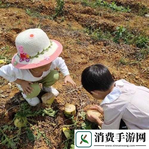 小孩半夜喂姐姐吃萝卜-这是为何