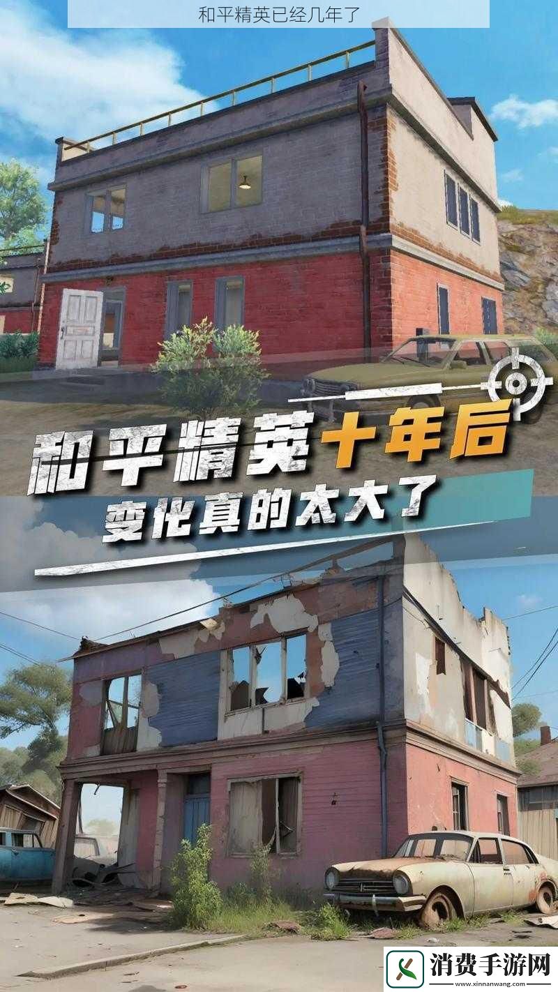 和平精英已经几年了
