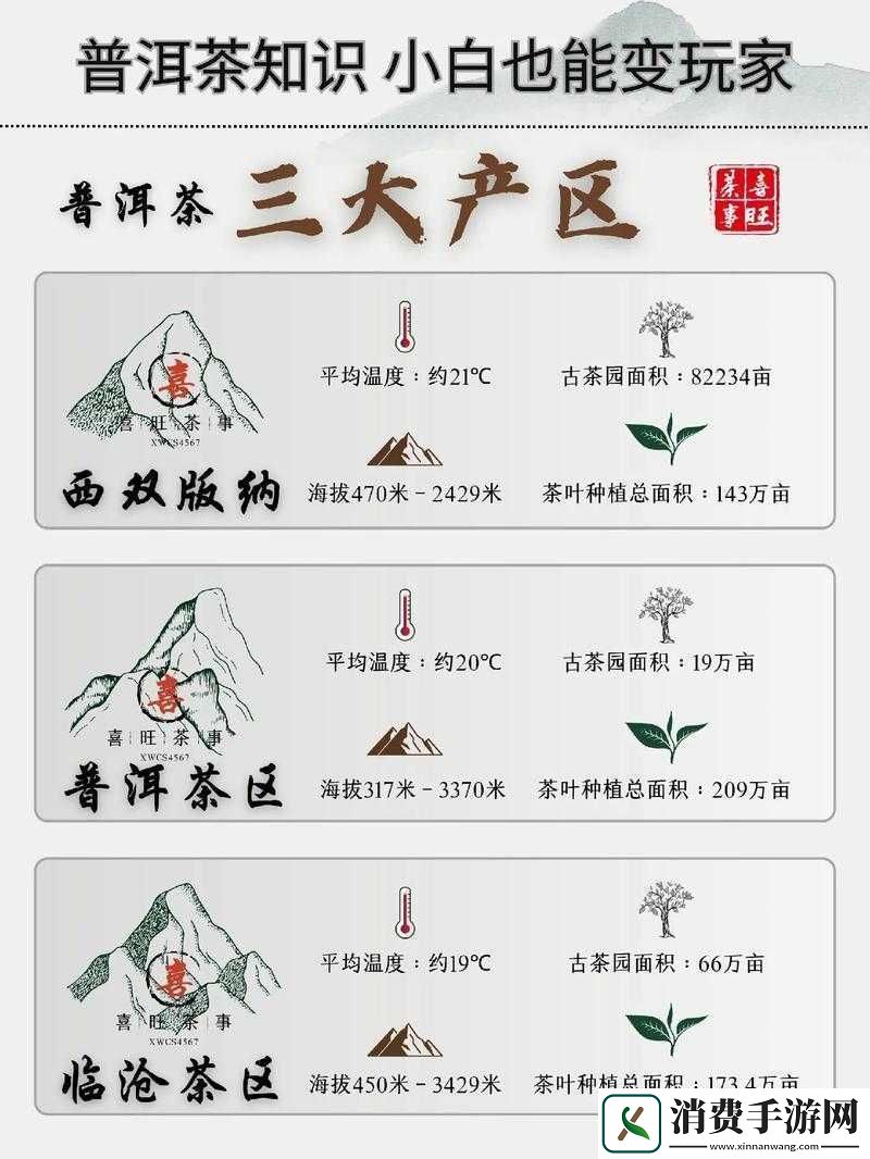 国产精品一二三产区区：展现独特魅力