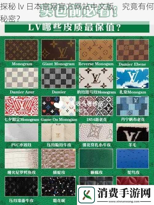 探秘-lv-日本官官方站中文版-究竟有何秘密