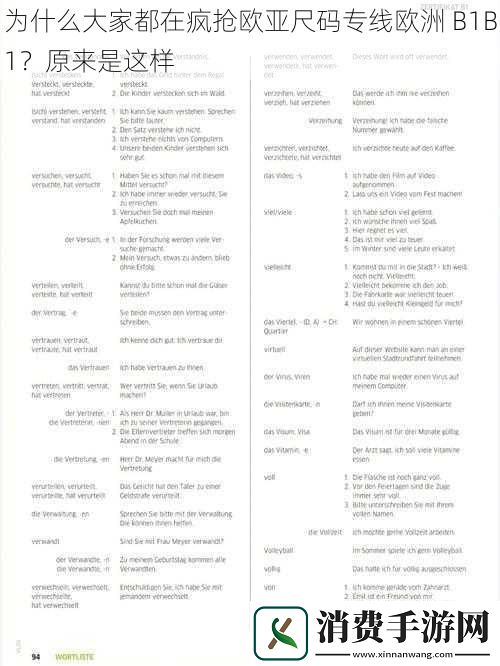 为什么大家都在疯抢欧亚尺码专线欧洲B1B1原来是这样