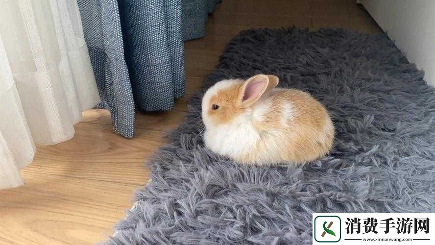 咬小兔兔是站着还是躺着