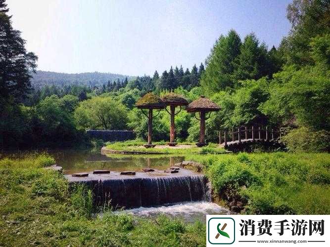 伊春园2023入口直达