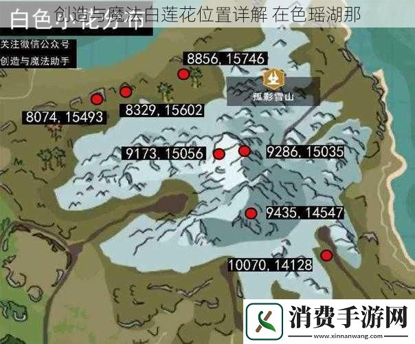 创造与魔法白莲花位置详解在色瑶湖那