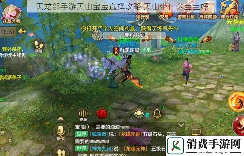 天龙部手游天山宝宝选择攻略天山带什么宝宝好