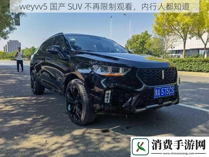 weyvv5国产SUV不再限制观看内行人都知道