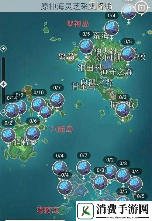 原神海灵芝采集路线