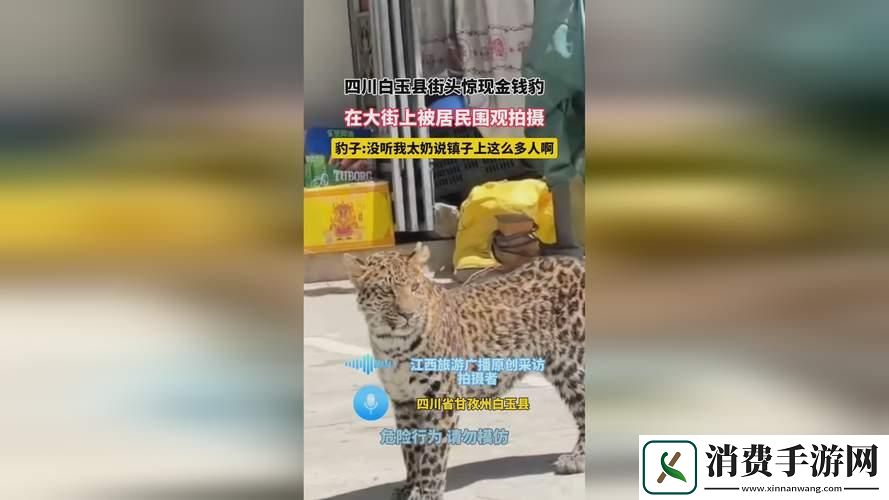 x9x9x9胡闹108辣眼