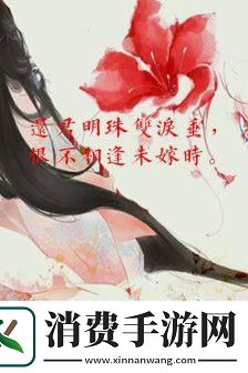 白月光下的创新狂欢