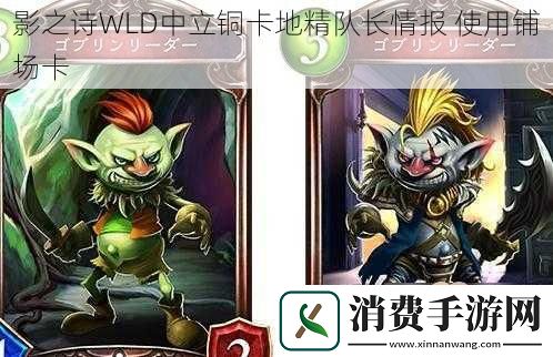 影之诗WLD中立铜卡地精队长情报