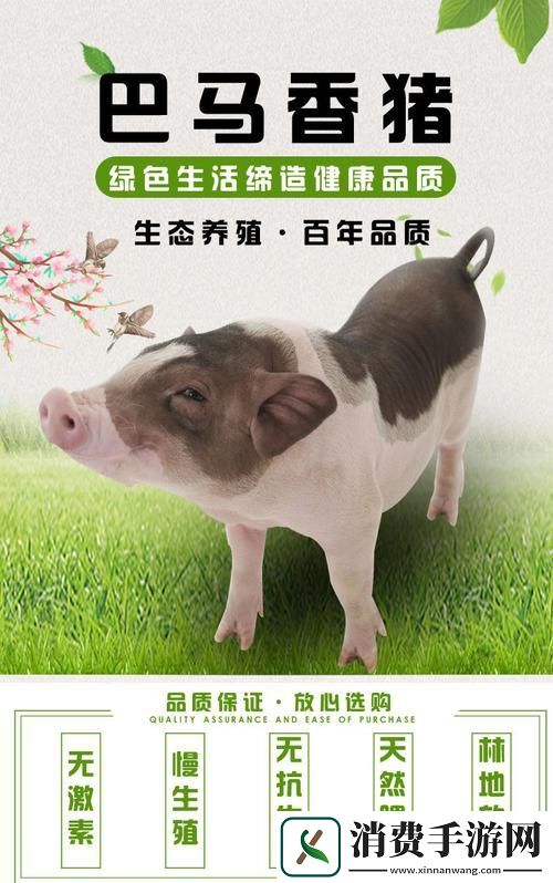 科技狂潮！人马畜禽的猪巴西传奇