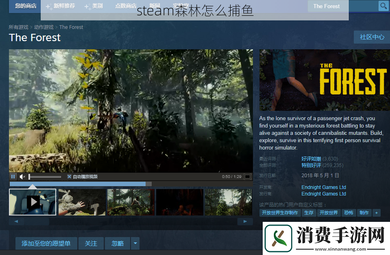 steam森林怎么捕鱼