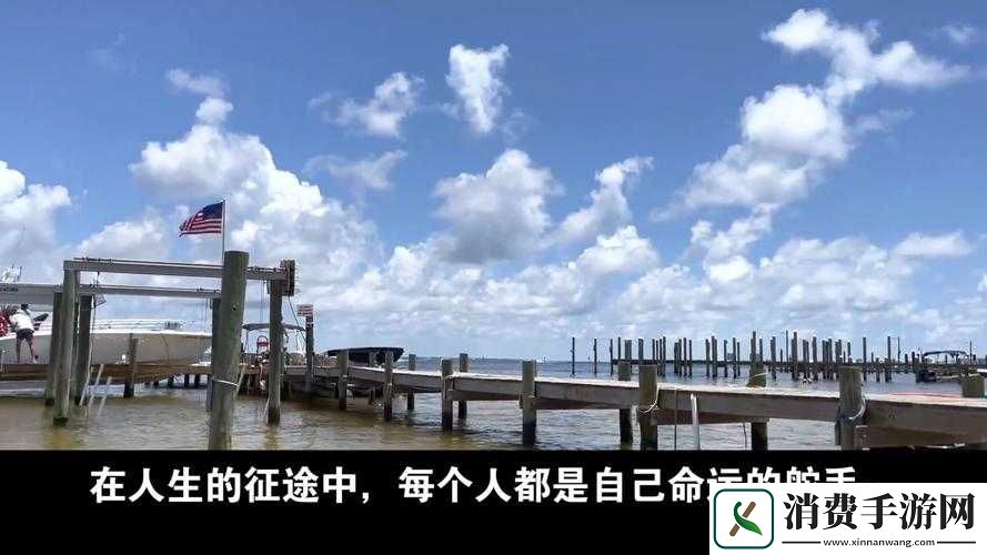 虚拟战斗热血归真