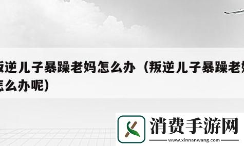 叛逆儿智斗“火山妈”：科技时代的匠心独运