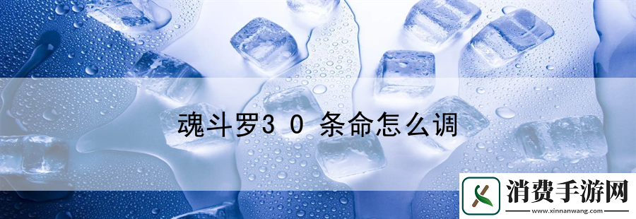 魂斗罗30条命怎么调