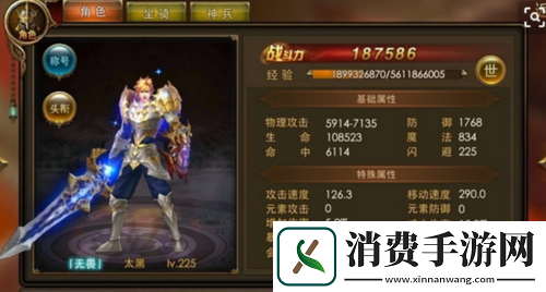 永恒纪元法师技能揭秘