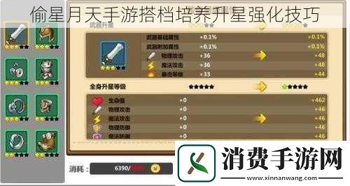 偷星月天手游搭档培养升星强化技巧