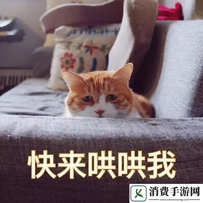 乖-哄我：突破性创新震惊全的讽刺独白