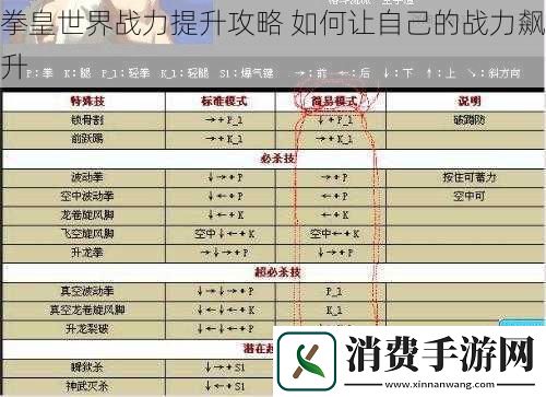 拳皇世界战力提升攻略
