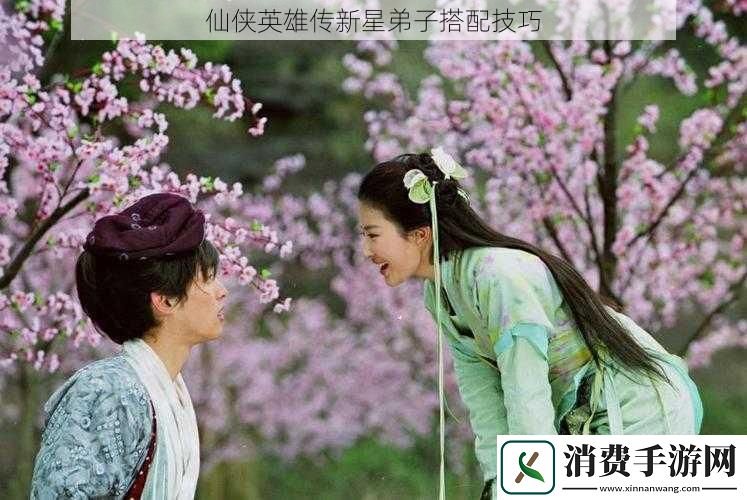 仙侠英雄传新星弟子搭配技巧