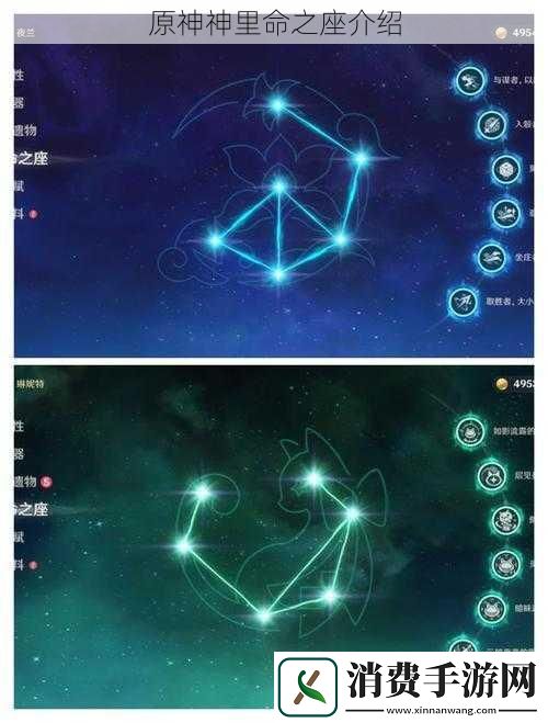 原神神里命之座介绍