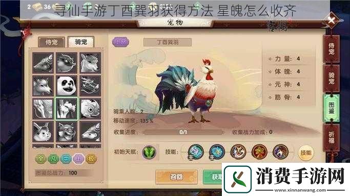 寻仙手游丁酉巽羽获得方法星魄怎么收齐
