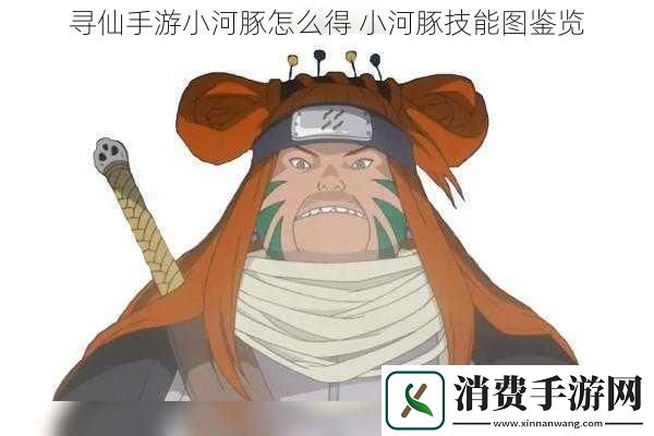 寻仙手游小河豚怎么得