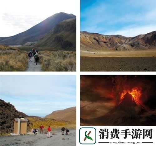 神秘电影的5条路径官方入口