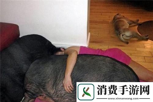 科技圈里的猪配女生狂欢