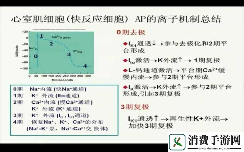 能让人产生反应的文